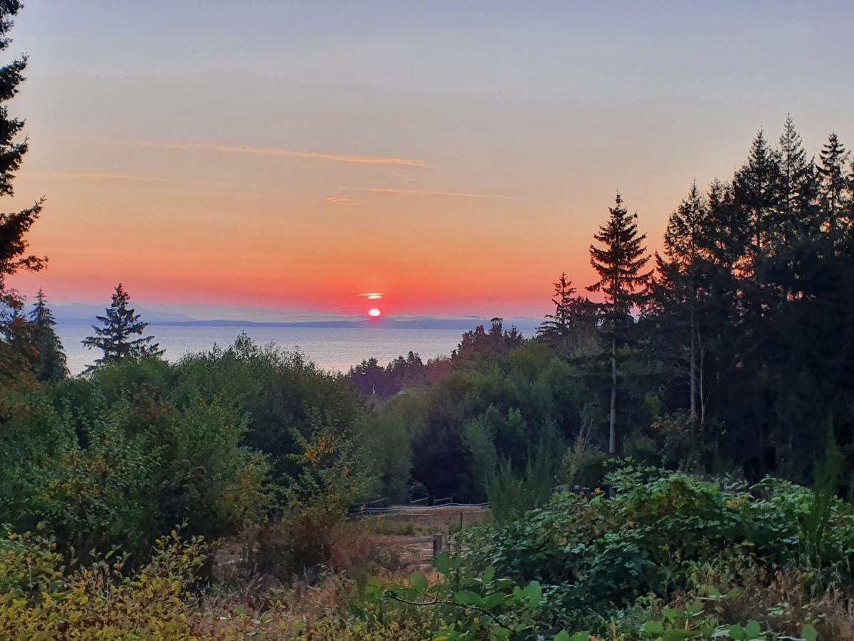 Forest By The Sea Rentals Merville Екстер'єр фото