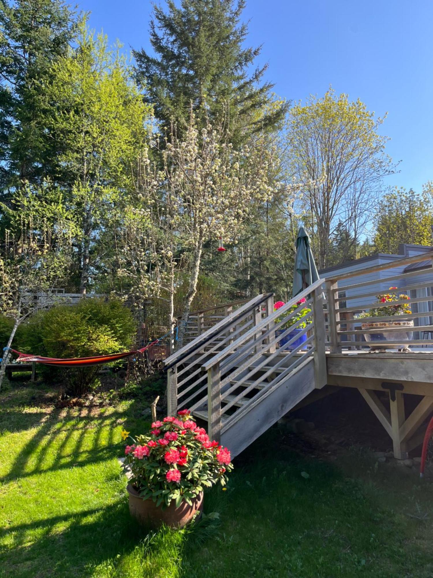 Forest By The Sea Rentals Merville Екстер'єр фото