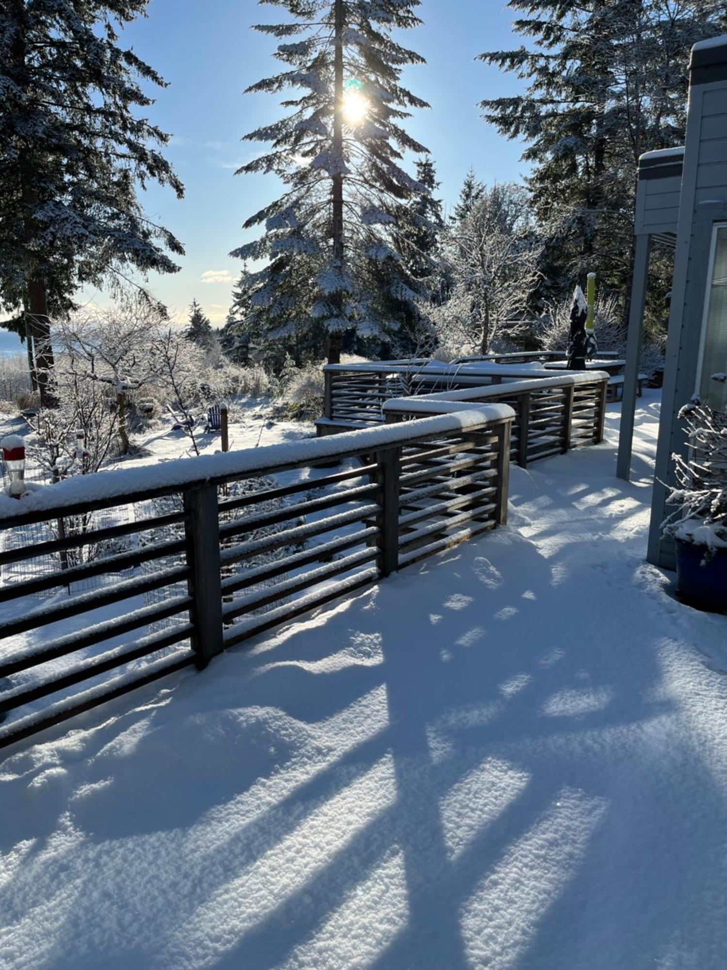 Forest By The Sea Rentals Merville Екстер'єр фото